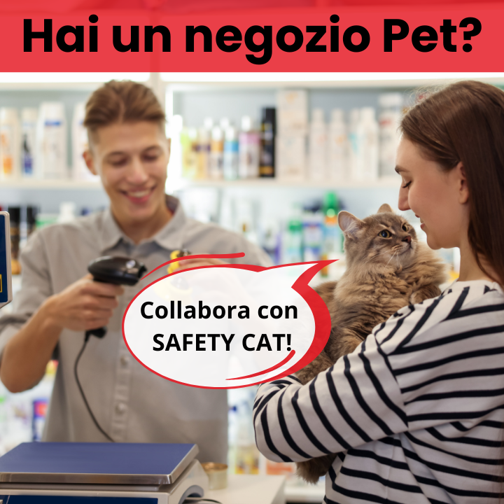 collabora negozio